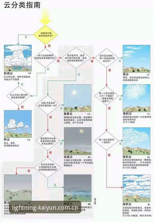 云开全站平台深度评测：从新手到熟练的完整使用指南